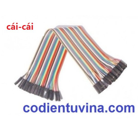 DÂY CẮM TEST BOARD 20CM các loại