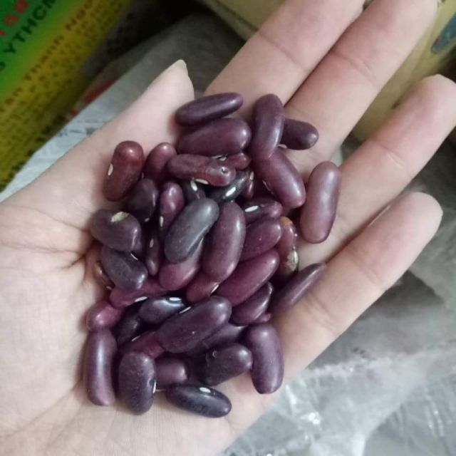 HOT! 1kg đậu đỏ quê nấu chè