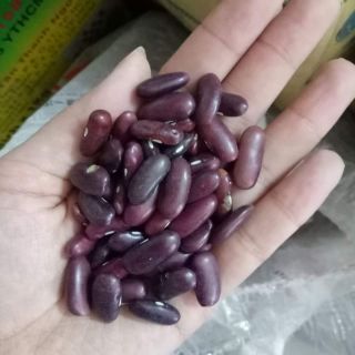 HOT! 1kg đậu đỏ quê nấu chè