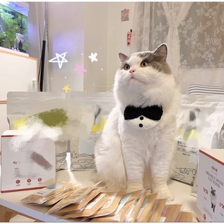 Yếm nơ len handmade cho thú cưng