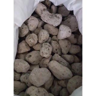 1Kg Vật Liệu Lọc Nham Thạch Trắng Đá Lông Vũ Cho Bể Cá