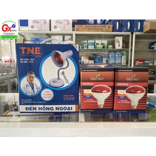 Combo-Đèn hồng ngoại chiếu vàng da, sửa ấm-TNE