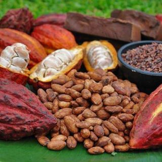 Bột cacao nguyên chất