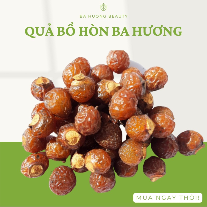 Quả bồ hòn tách hạt hàng loại 1 chín khô nhiều nhựa, bồ hòn xuất khẩu giá tận gốc