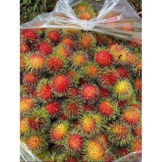 Chôm chôm thái Long Khánh giòn ngọt