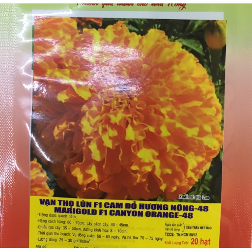 Hạt Hoa VẠN THỌ Lùn F1 màu cam đỏ HN-48 - Gói 20 hạt