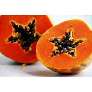 Hạt giống Đu đủ ruột đỏ