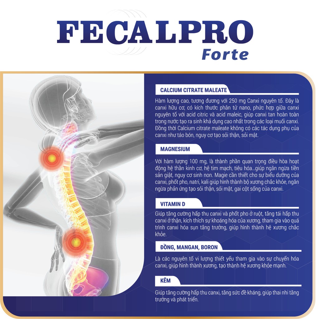 FECALPRO FORTE- Bổ sung canxi hữu cơ và khoáng chất giúp xương khỏe mạnh cho bà bầu,ngăn ngừa loãng xương người lớn tuổi