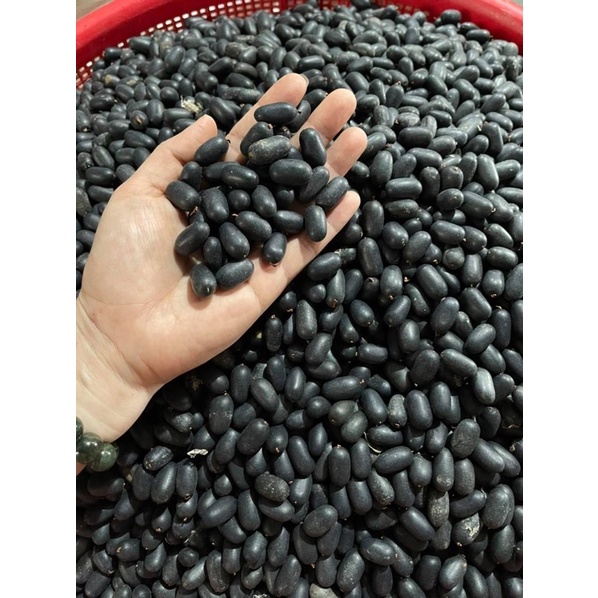 HẠT ĐỖ RỪNG HỖ TRỢ VIÊM LOÉT DẠ DÀY VÀ TÁ TRÀNG