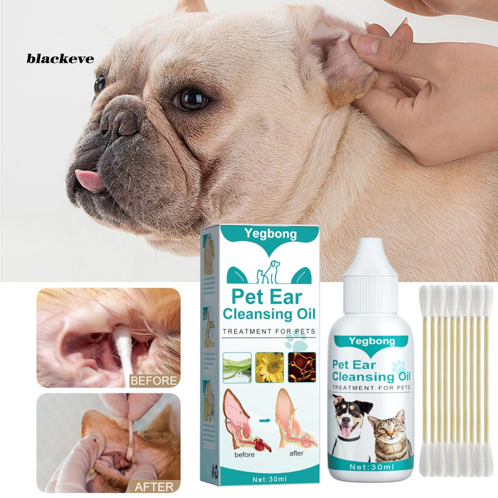 Bộ Dụng Cụ Lấy Ráy Tai Khử Trùng Cho Thú Cưng