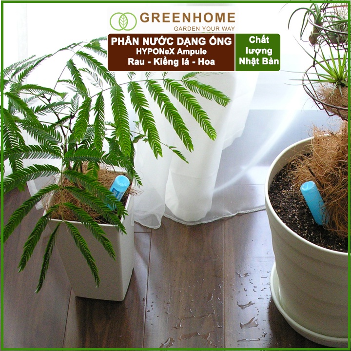 Phân bón dạng ống Nhật, Hyponex, Blue Ampule, ống 35ml, tiện lợi, chuyên cây nội thất, kiểng lá, cây để bàn |Greenhome