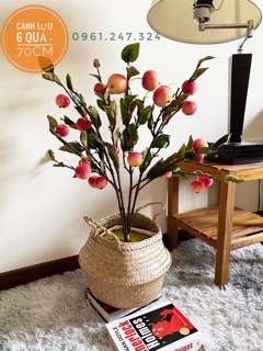 Giỏ cói size 20 25 30