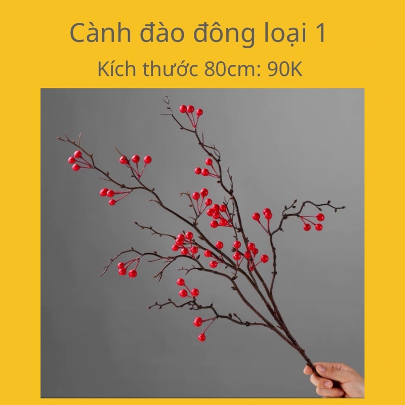 Cành tùng đỏ loại ngắn để chụp ảnh cà trang trí