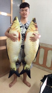 Cá chép bông size bự