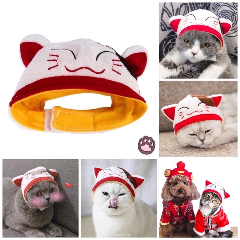 Mũ cho Chó Mèo cosplay Mèo thần tài - Nón cho thú cưng cao cấp