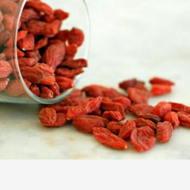 Kỹ tử cho hamster nhím sóc