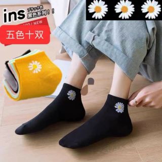 Set tất gấu hoa cúc trend