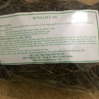 Bông mã đề lợi tiểu, sỏi thận
