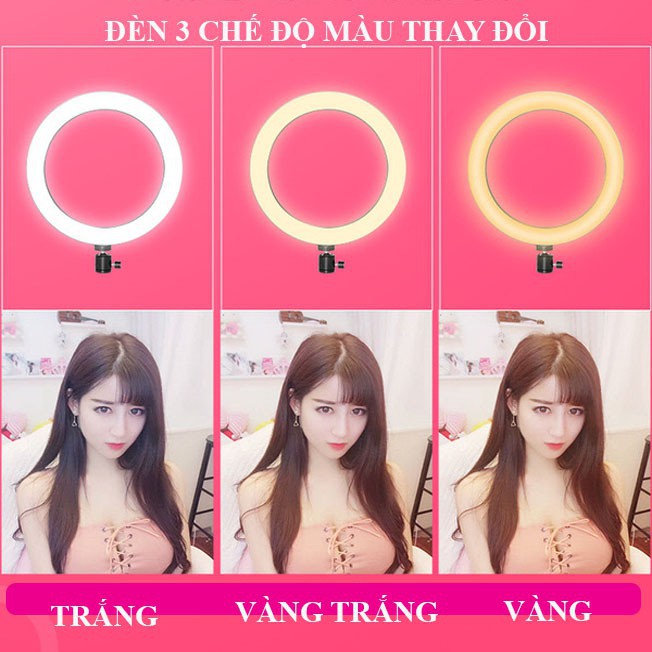 [Siêu Rẻ]  Đèn Livestream Size Cực Đại 54cm Điều Khiển 🌻FREESHIP 70K🌻Đèn Hỗ Trợ Trang Điểm, Chụp Ảnh, Phun Xăm | BigBuy360 - bigbuy360.vn