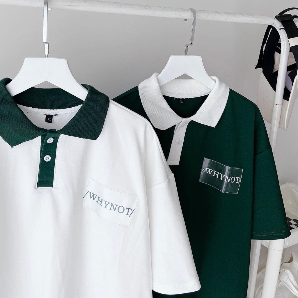 [sẵn]Áo thun polo sọc chữ thêu Why Not (ảnh thật tại shop) Tanazi Closet