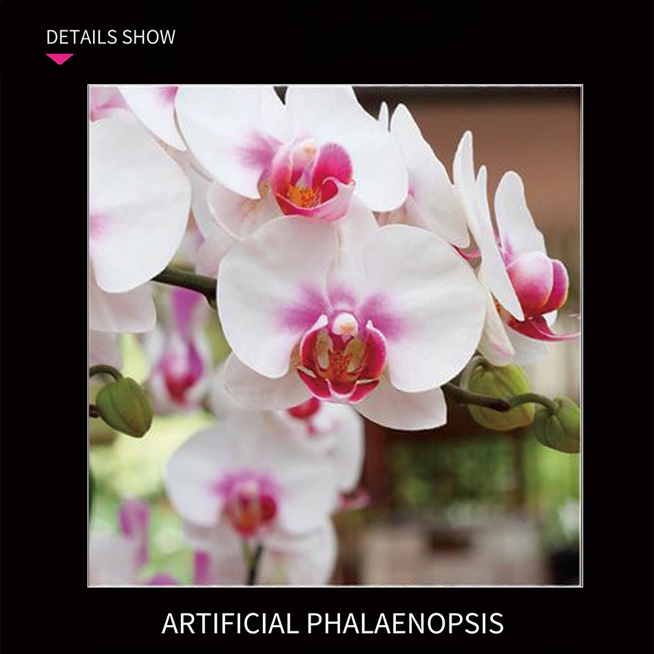 Bó Hoa Phong Lan Tự Làm Lắp Ráp Bonsai MOC Xây Dựng Khối Trang Trí Đồ Chơi Gạch Đồ Chơi Trẻ Em