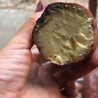 Khoai lang giống nhật (1kg)