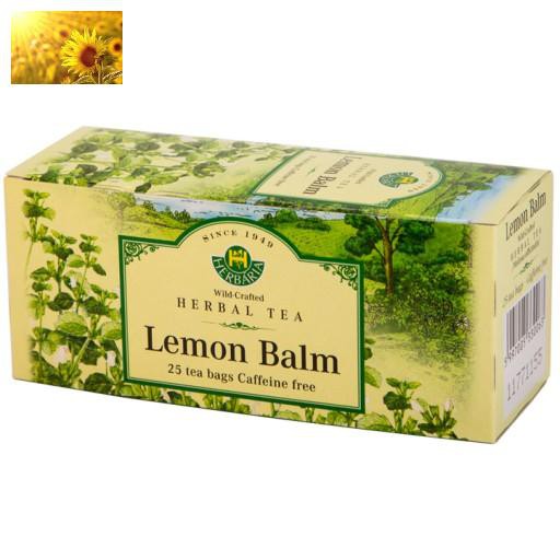 Hạt Giống Bạc Hà Chanh/Lemon Balm (120 Hạt) - Thơm hương chanh và xả, Giảm stress - MUA 3 TẶNG 1 CÙNG LOẠI