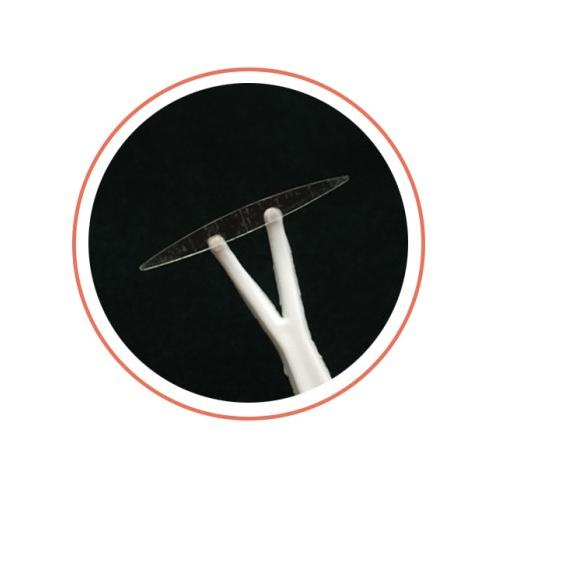 ➣ Jacquelle Miếng Dán Kích Mí Vừa Vặn Màu Hổ Phách Vô Hình ◘ | BigBuy360 - bigbuy360.vn