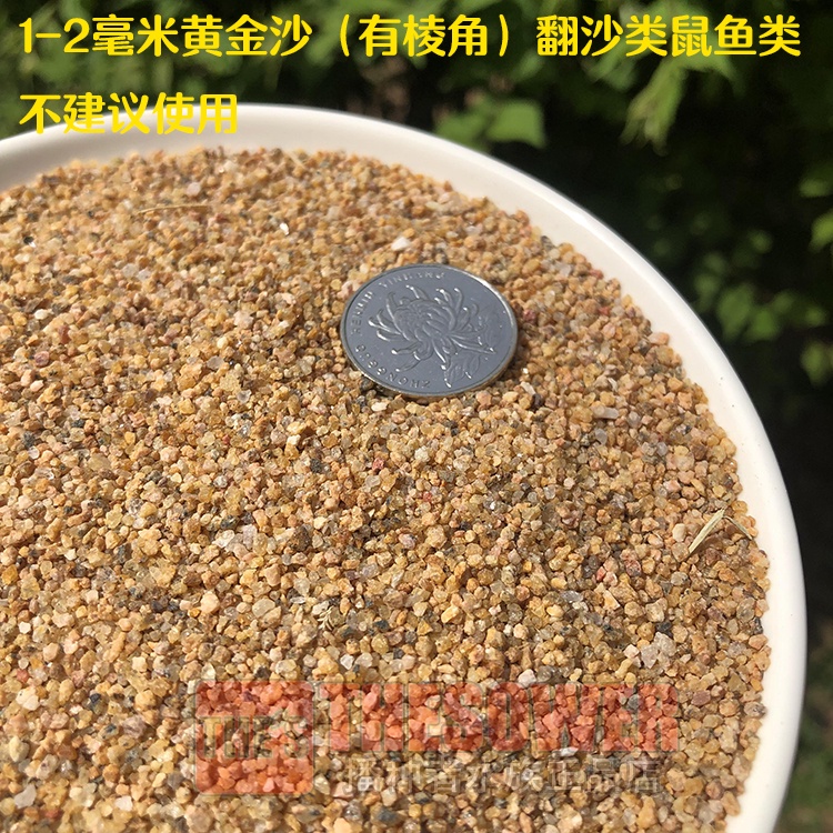 Cát màu vàng trang trí hồ cá | BigBuy360 - bigbuy360.vn