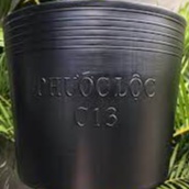 Chậu nhựa đen C8-C9-C10-C11-C12 trồng cây hiệu Phước Lộc dày dặn