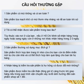 Bó Hoa Bông Lúa Mạch Khô Decor Trang Trí