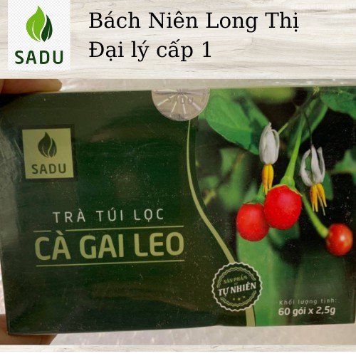 (Hàng công ty) Trà cà gai leo 150g Sadu- mát gan, khỏe gan