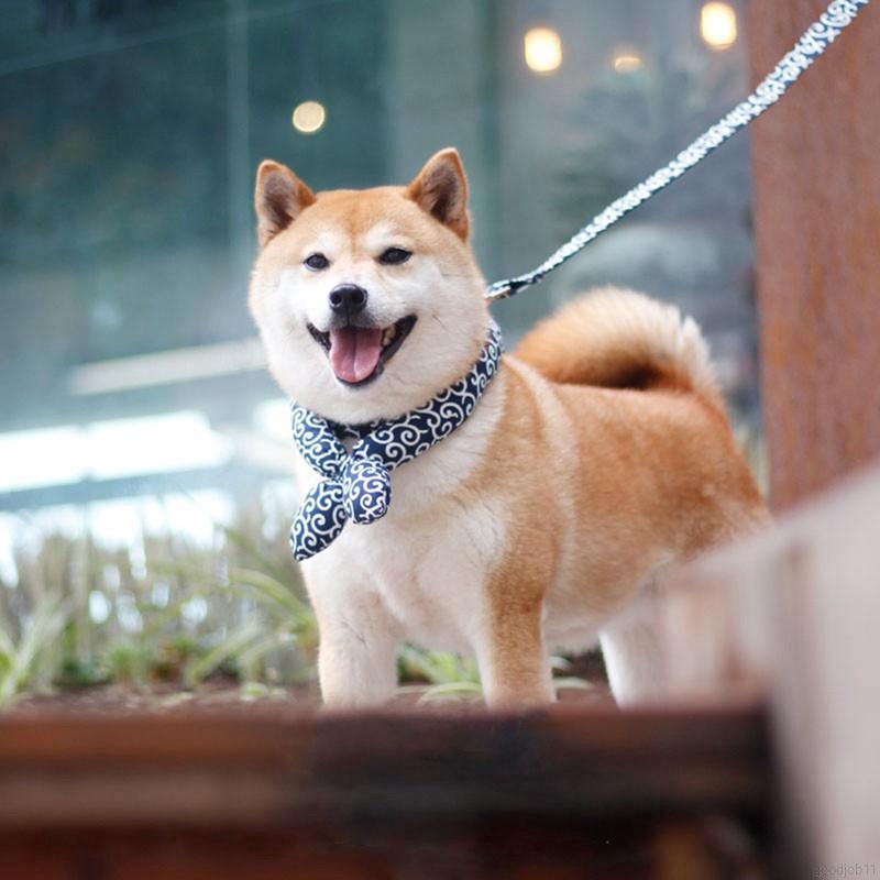 Khăn choàng cổ bandana phong cách Nhật Bản dành cho cún cưng