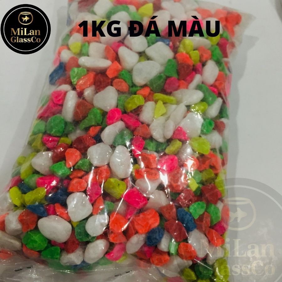 SỎI ĐÁ NHIỀU MÀU 50G, 100G, 1KG ( 1 KÝ )TRANG TRÍ TIẾU CẢNH SEN ĐÁ CÂY THỦY CANH HỒ CÁ  ML-SM