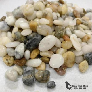 Sỏi suối tự nhiên ( chọn size )