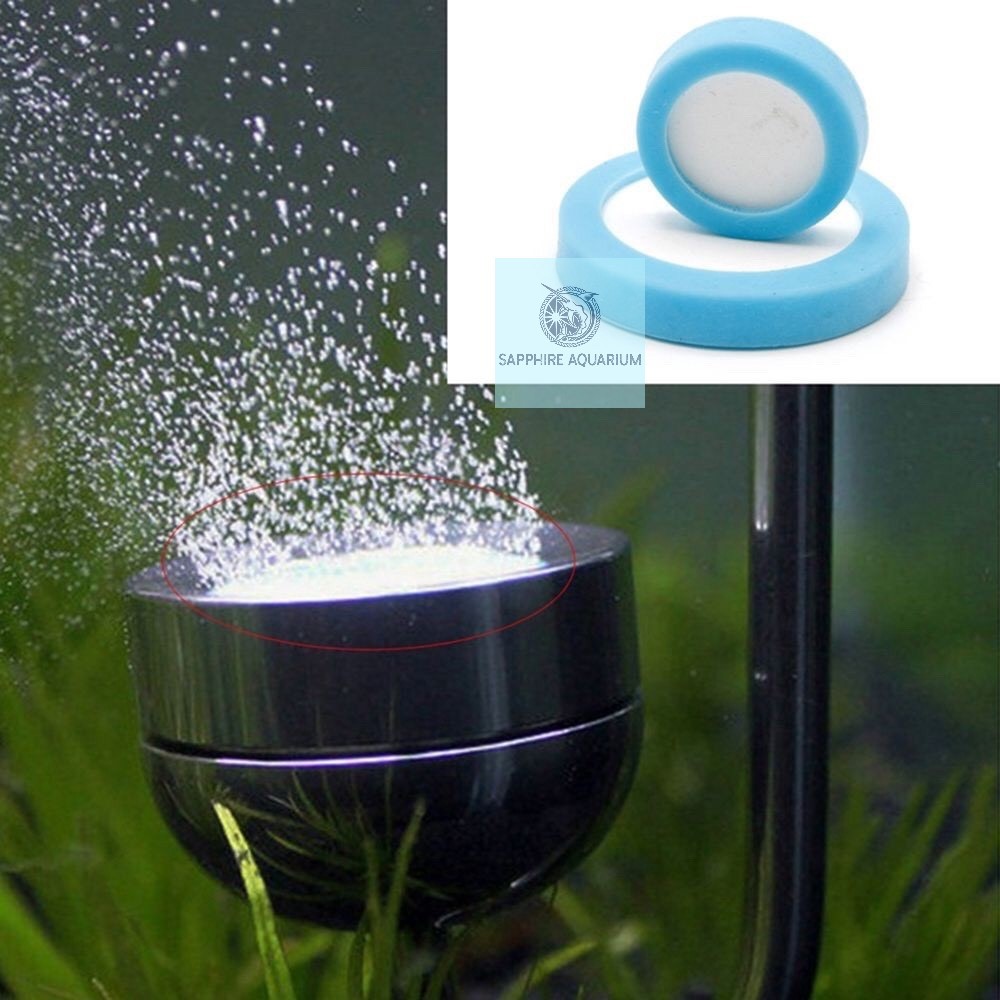 Gốm sủi CO2
