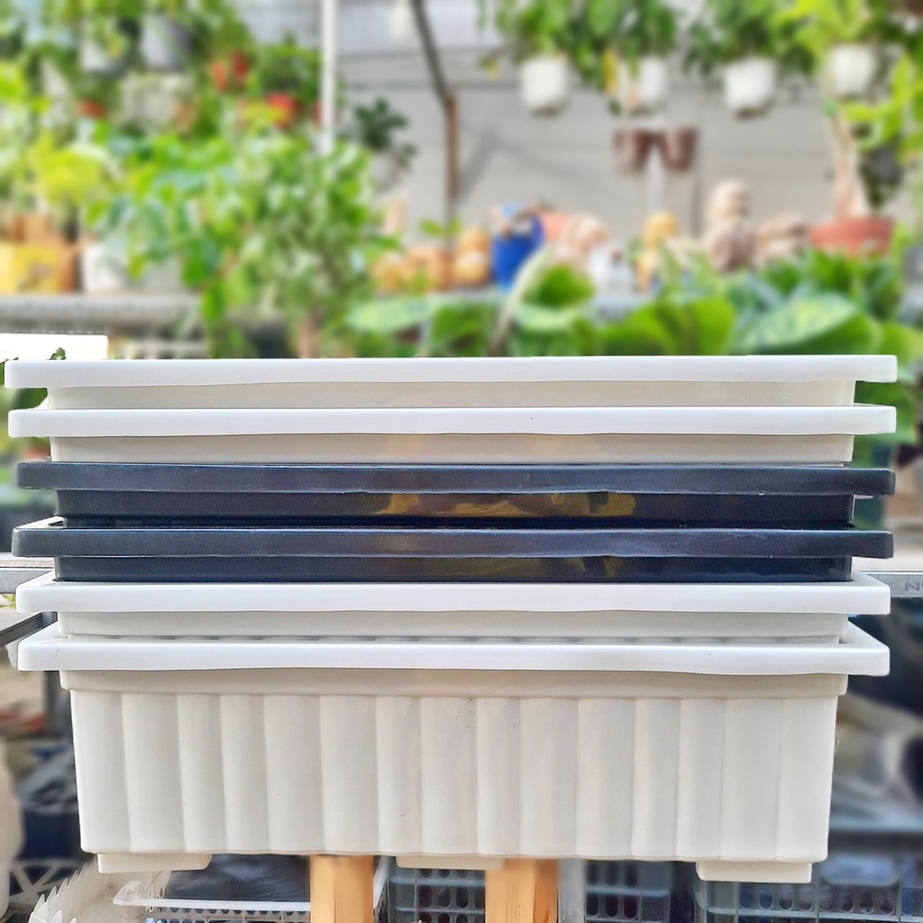 Khay chữ nhật/Chậu chữ nhật thông dụng trồng hoa, rau kích thước 63*23*18cm