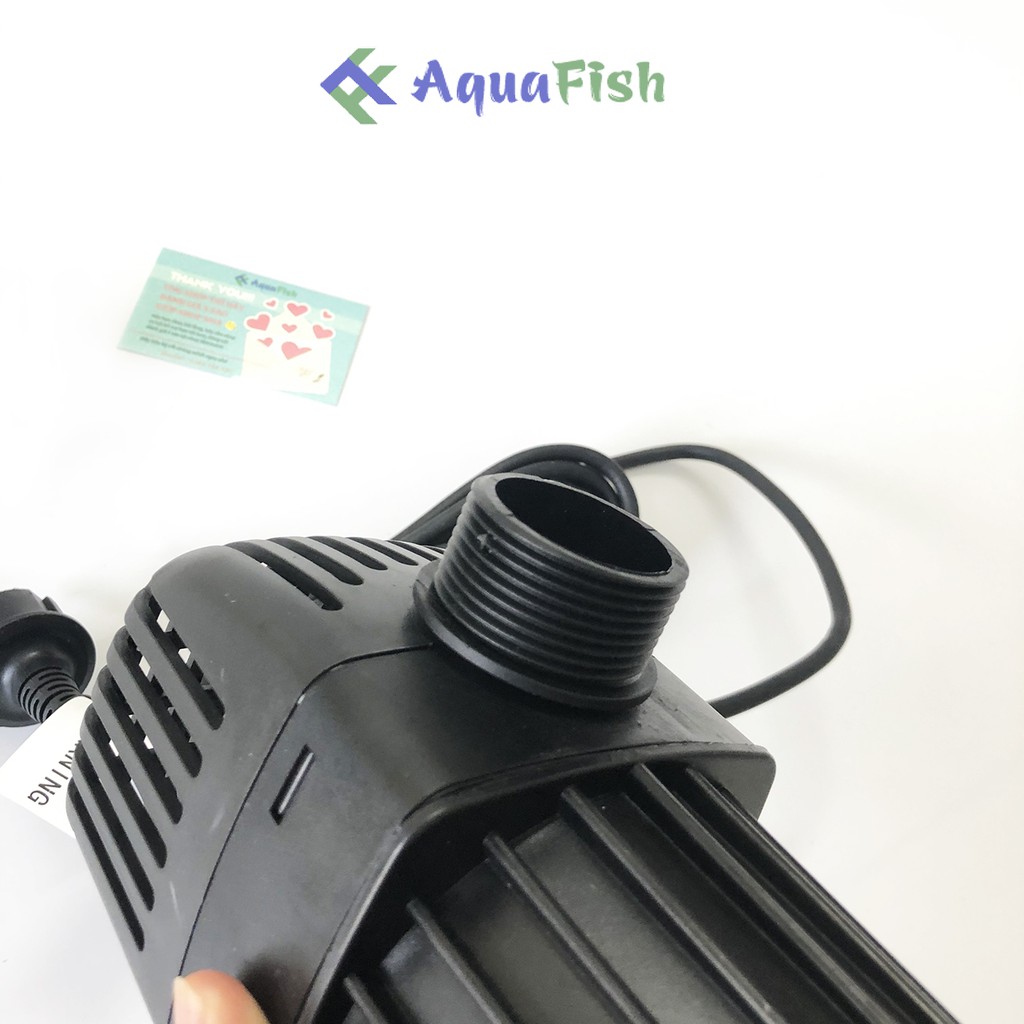 Máy Bơm Chìm Hồ Cá Koi Jebao TM 3500 - 10000 (máy bơm nước chuyên dụng cho hồ koi)