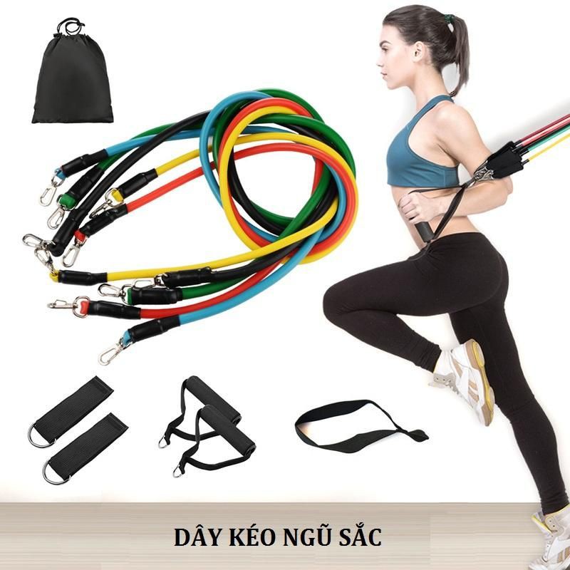 Bộ Dây Đàn Hồi Tập Thể Hình - Dụng Cụ Tập GYM Dây Ngũ Sắc Cao Cấp