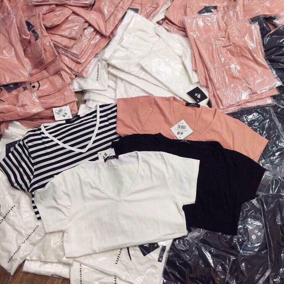 Áo phông nữ trơn cổ tim chất cotton 100% bao đẹp | BigBuy360 - bigbuy360.vn