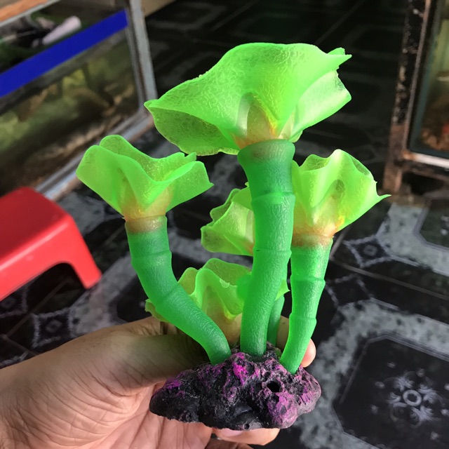 RONG DẠ QUANG TRANG TRÍ HỒ CÁ NON BỘ CAO 15CM