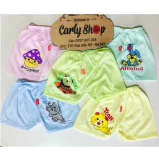 Combo quần chục carter