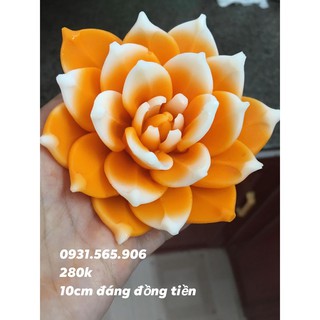 Khuôn Silicone Sen Đá Đại Đóa