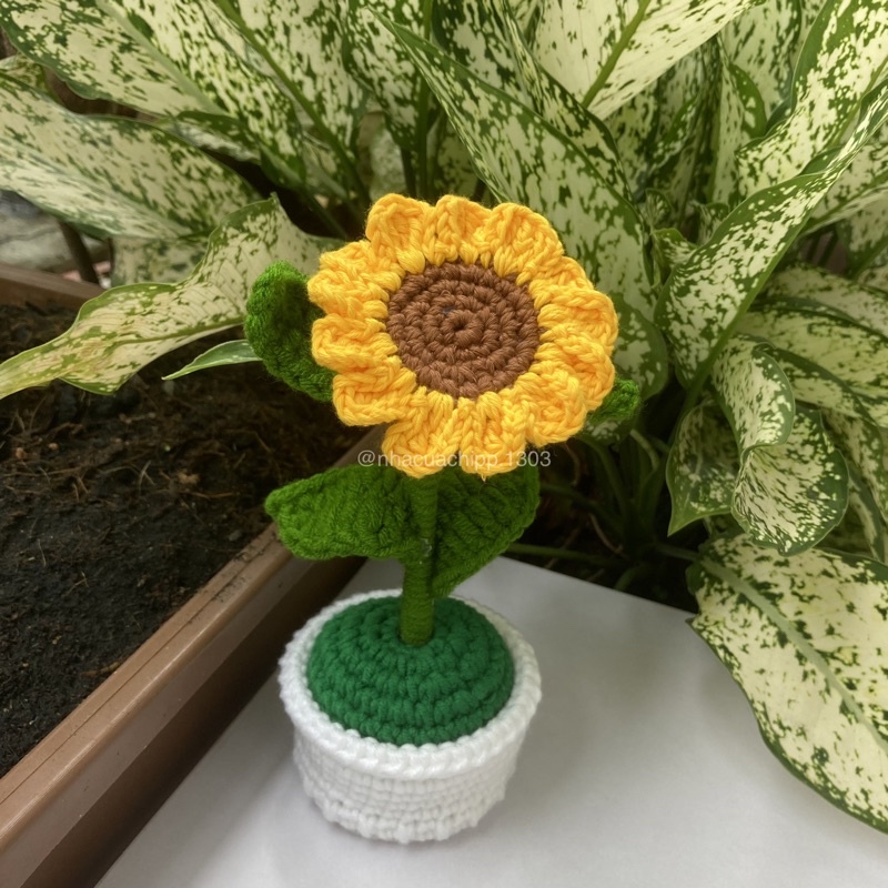 Chậu hoa hướng dương bằng len dùng để trang trí bàn học