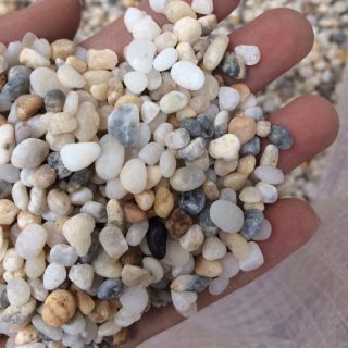 Sỏi biển ba màu rải nền bể cá cảnh túi 500g