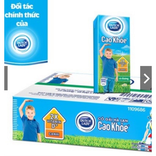 Thùng sữa Cô gái Hà Lan Cao Khoẻ 170ml * 48 hộp