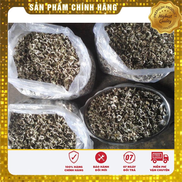 Hạt giống Rau Chùm Ngây ( 10 hạt )