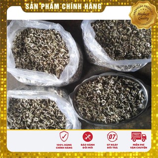 Hạt giống cây chùm ngây