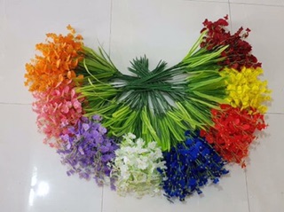 Lan vũ nữ