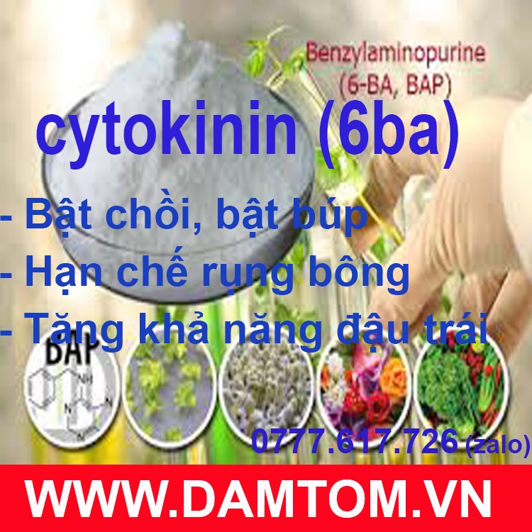 Cytokinin - 6BA 99%  Gói 50gr - tặng kèm dung môi